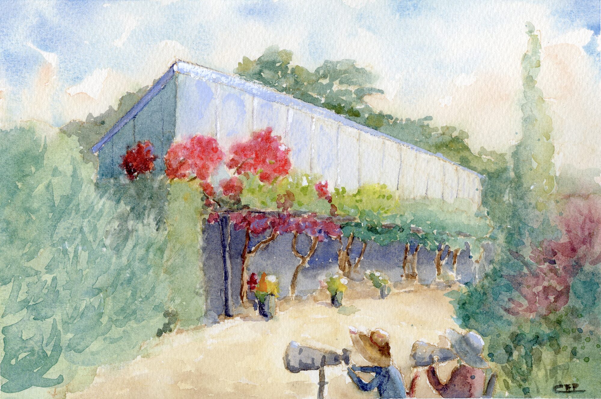 The long pale Pavilion building at the Toronto Botanical Garden, behind a pergola hung with red and pink blossom, with two figures in sun hats in the foreground, one aiming a large telephoto lens — watercolour by Claudia Fernandez