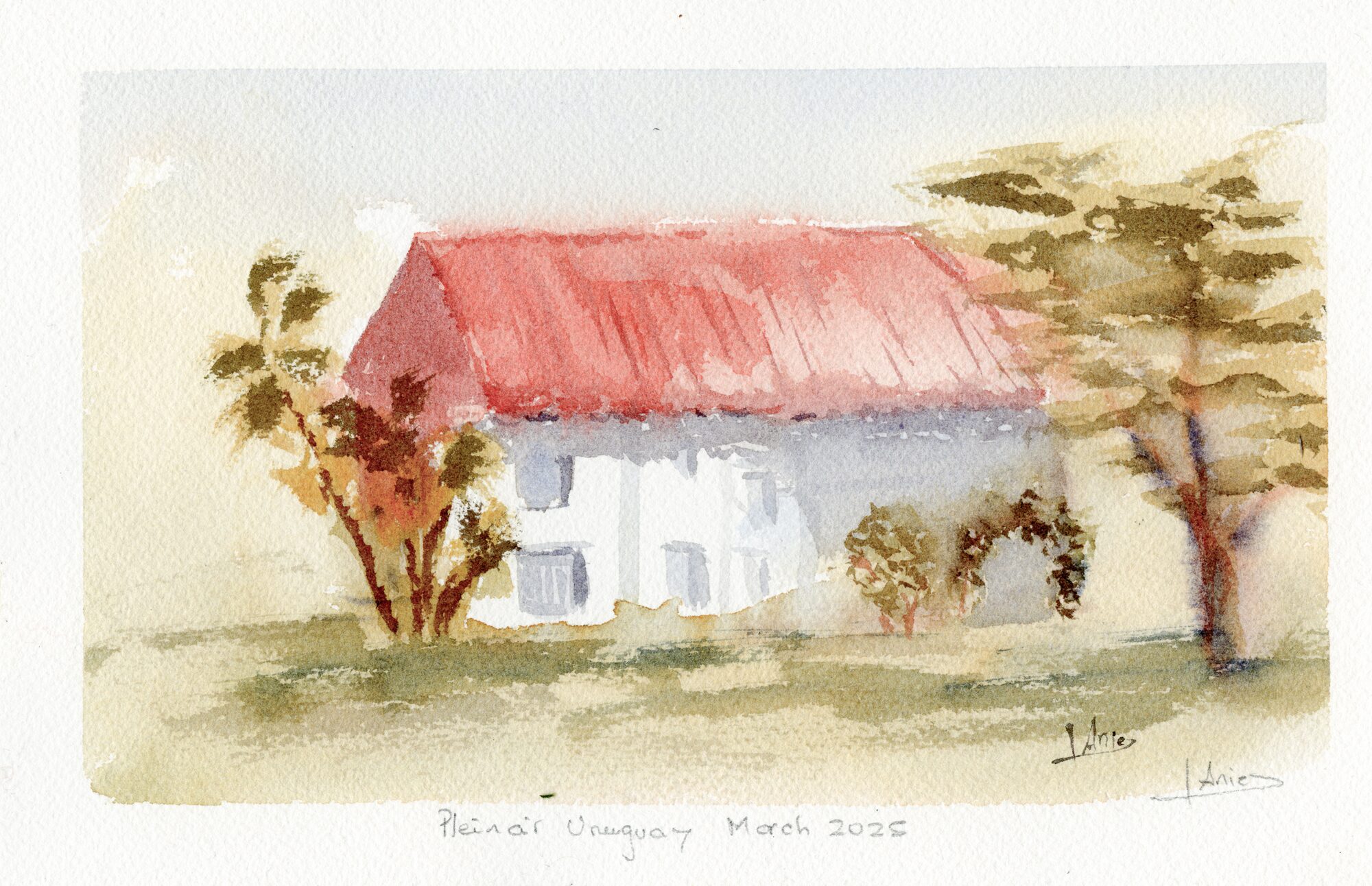 A white colonial house with a red tin roof on a grassy lot, a palm tree to the left and a tall pine to the right under a pale sky — watercolour by Claudia Fernandez