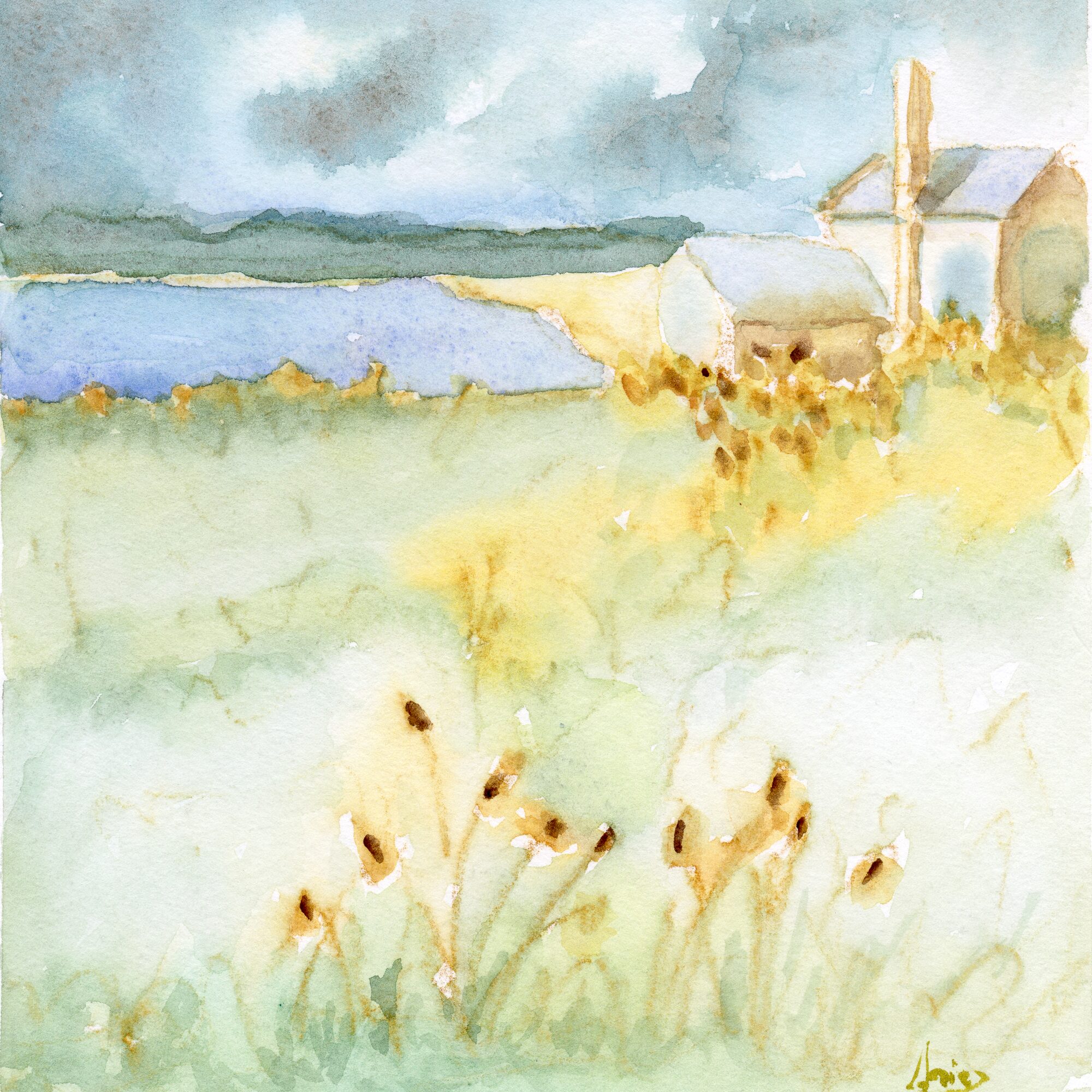 Two beach houses on a grassy hillside above a pale ocean and distant hills, surrounded by yellow-and-green autumn wildflowers under a soft, stormy pale-blue sky, all in delicate muted tones — watercolour by Claudia Fernandez